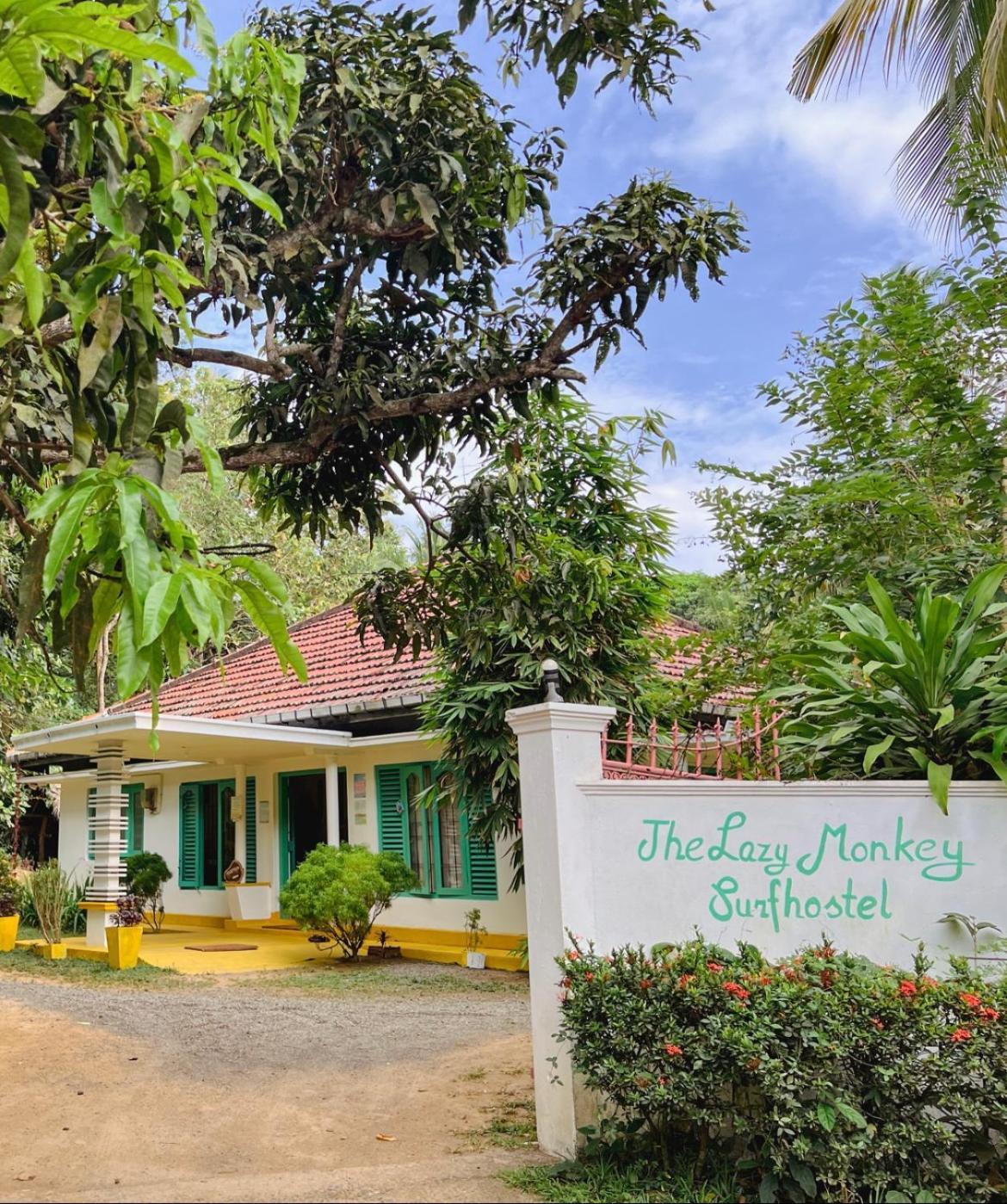 Lazy Monkey Surfhostel - Sri Lanka Dikwella Extérieur photo