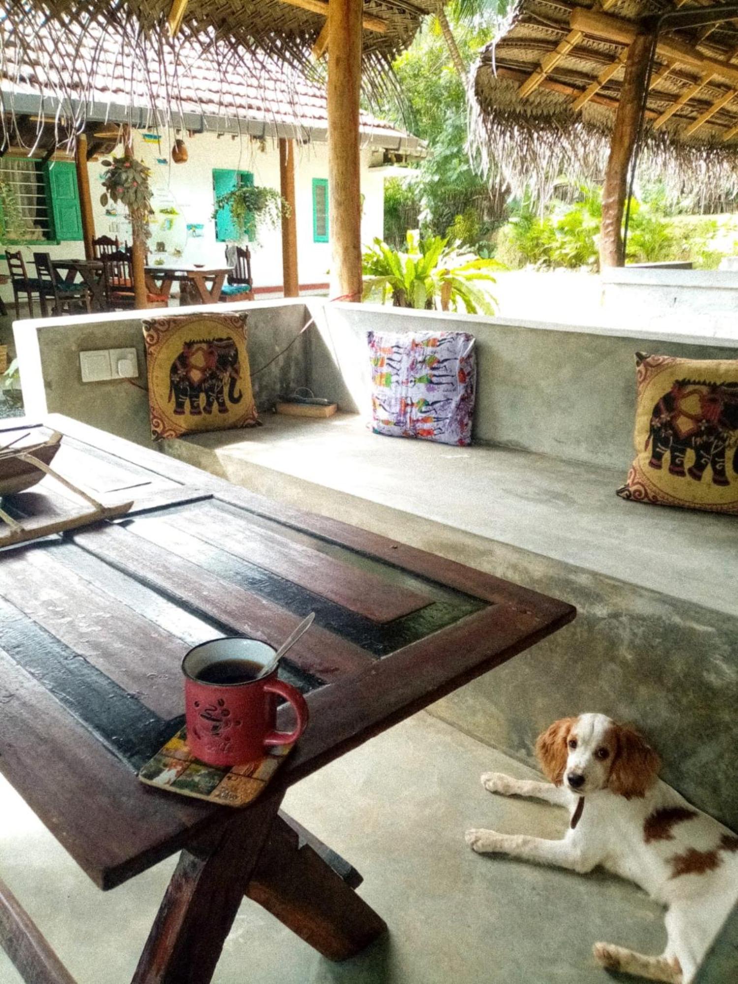 Lazy Monkey Surfhostel - Sri Lanka Dikwella Extérieur photo