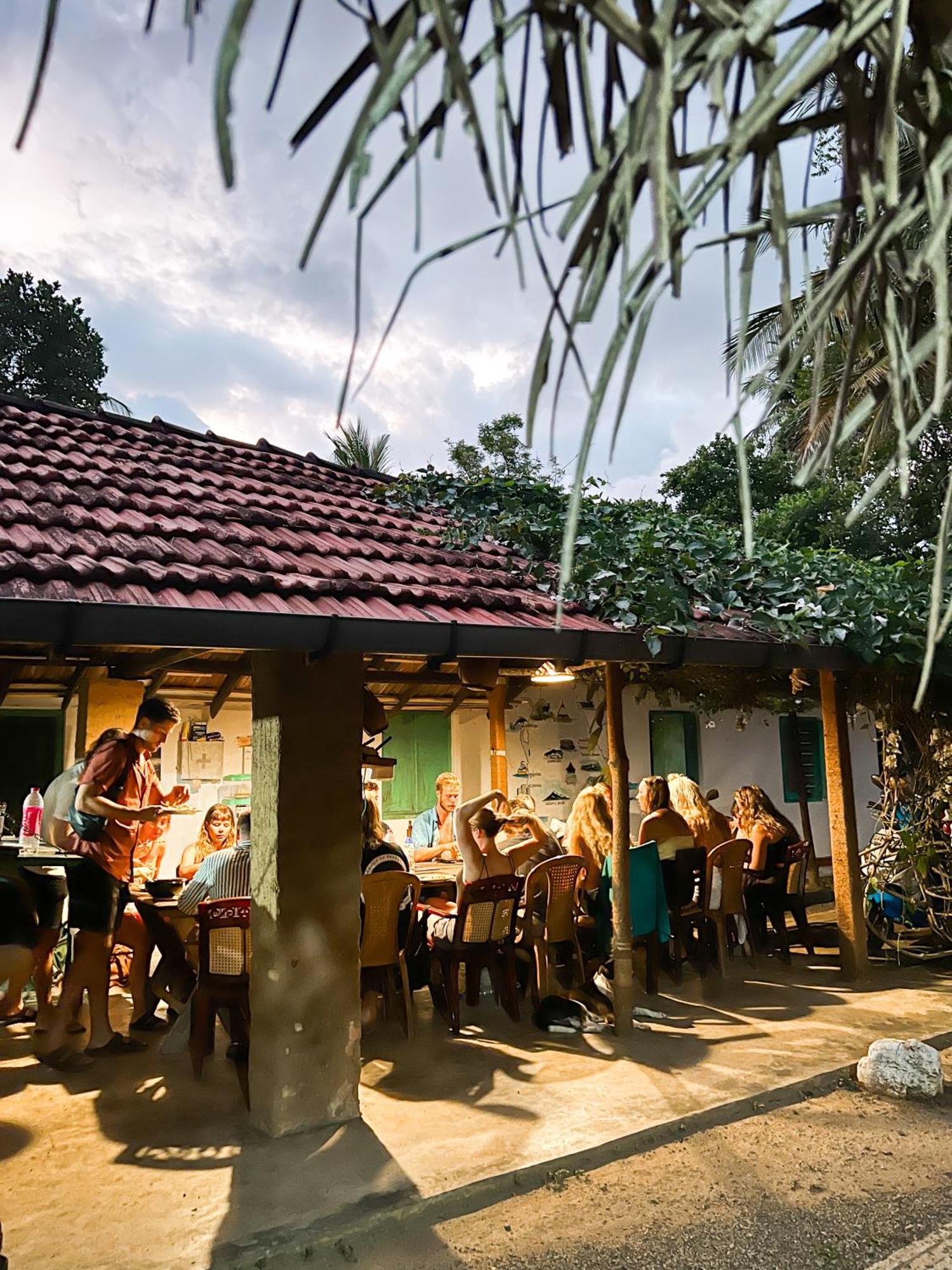 Lazy Monkey Surfhostel - Sri Lanka Dikwella Extérieur photo
