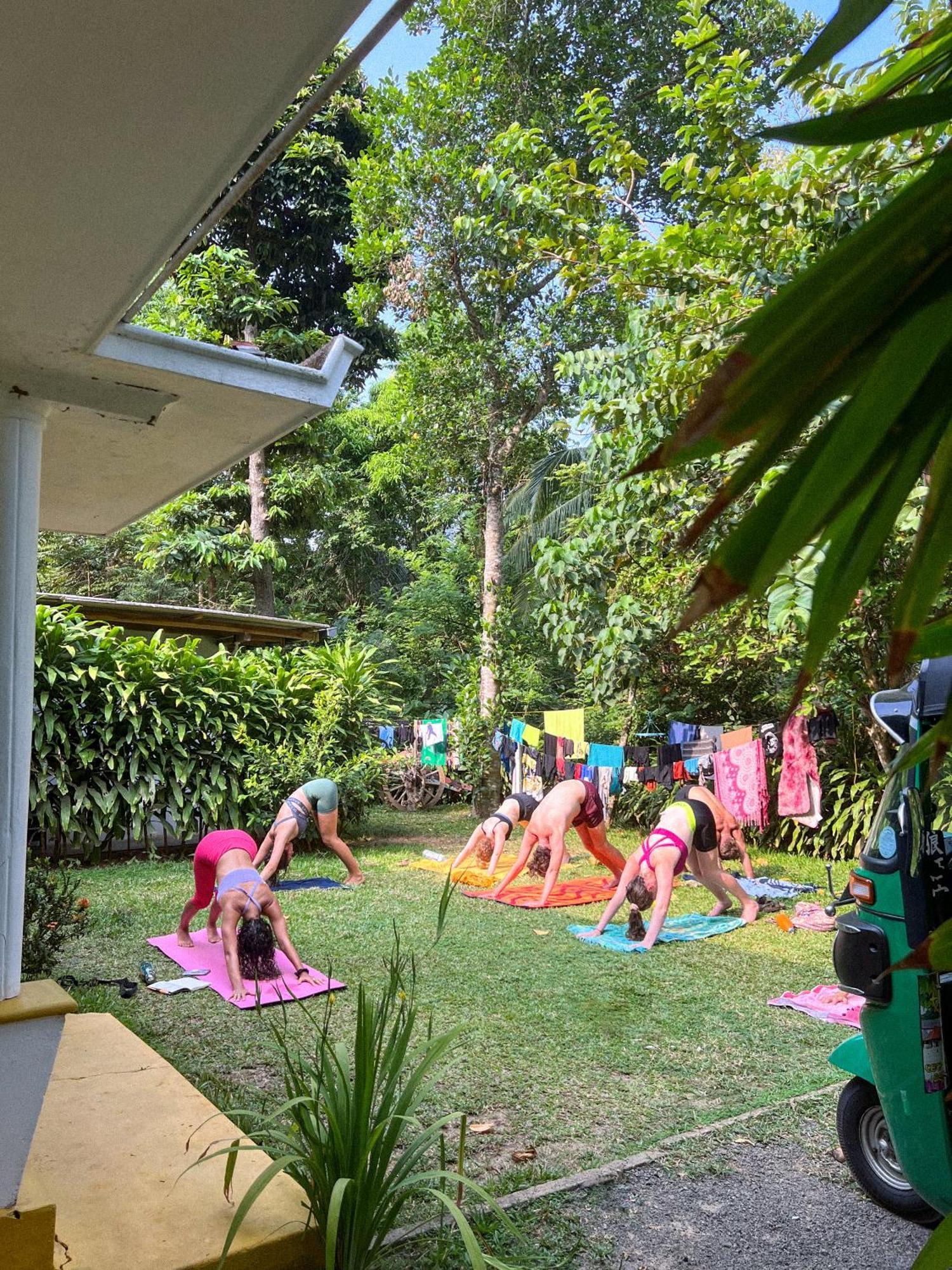 Lazy Monkey Surfhostel - Sri Lanka Dikwella Extérieur photo