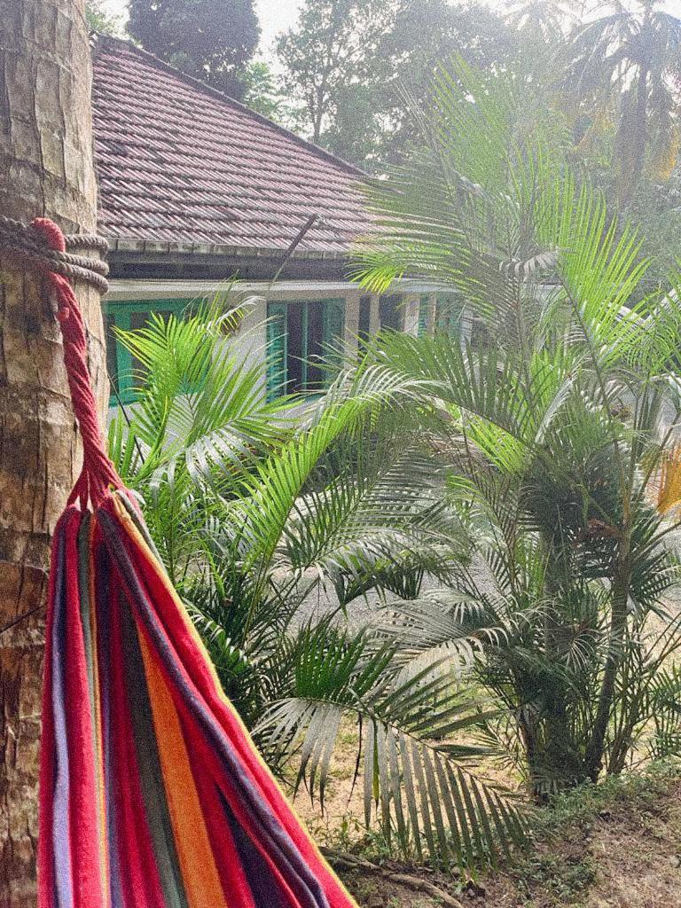 Lazy Monkey Surfhostel - Sri Lanka Dikwella Extérieur photo
