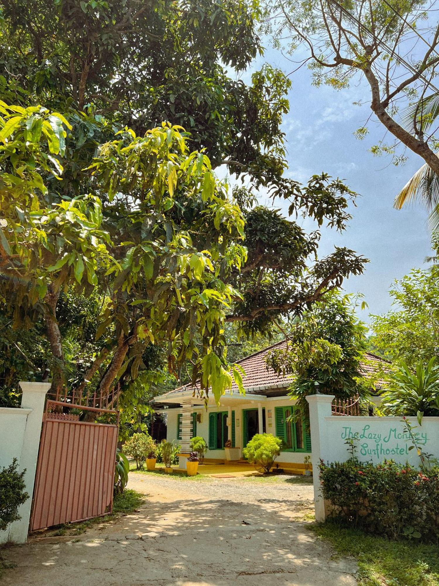 Lazy Monkey Surfhostel - Sri Lanka Dikwella Extérieur photo
